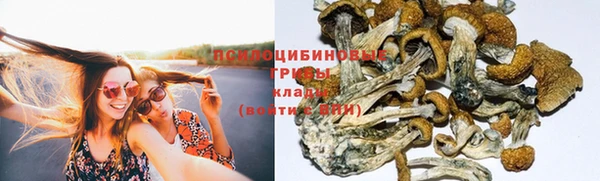 метадон Осинники